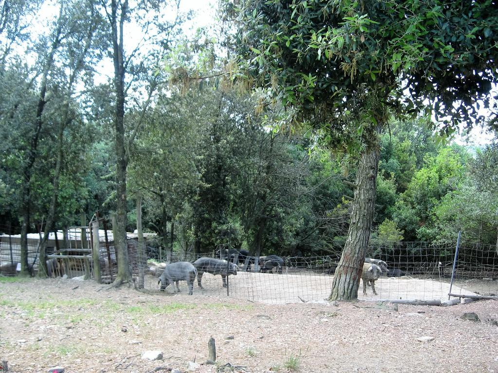Tenuta La Bandita Сасета Екстериор снимка